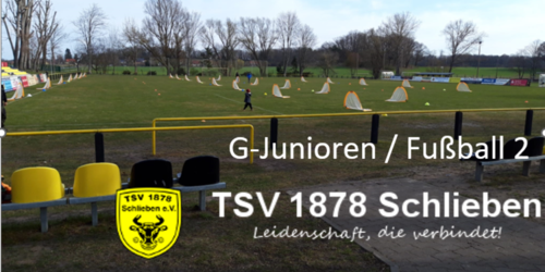Cover-Grafic TSV 1878 Schlieben e.V. Fußball 2-Festival