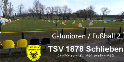 Cover-Grafic TSV 1878 Schlieben e.V. Festival