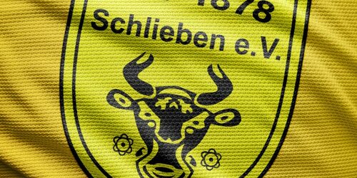 Cover-Grafic TSV 1878 Schlieben e.V.  4+1 Festival