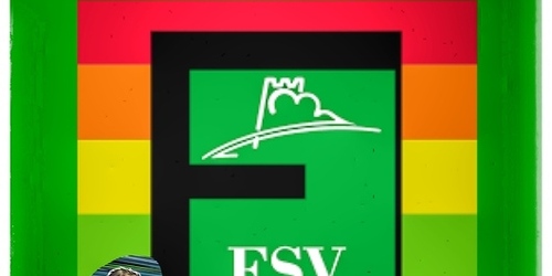Cover-Grafic Flechtinger SV Festival
