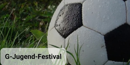 Cover-Grafic G-Jugend-Festival 3vs3 auf 4 Tore ca. 2 Stunden (Champions League)
