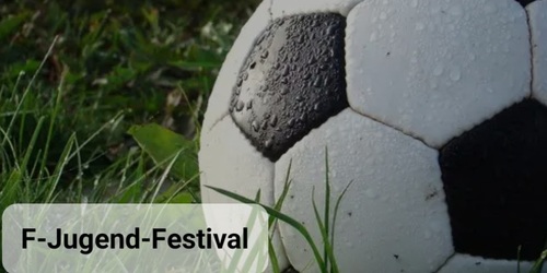 Cover-Grafic F-Jugend-Festival 3vs3 auf 4 Tore ca. 2 Stunden (Champions League)