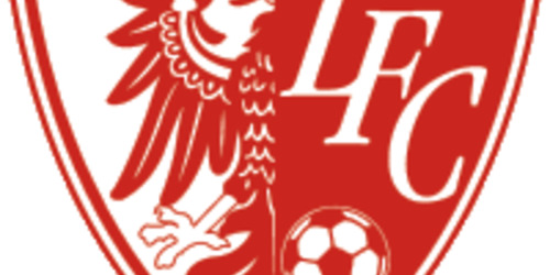 Cover-Grafic Ludwigsfelder FC Festival