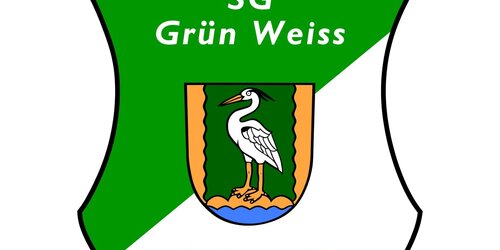 Cover-Grafic Fußball 2 (JG 2020) Hallenspieltag in Golm