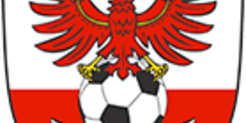 Cover-Grafic SG Blau-Weiß Leegebruch | 3gg3 Minitore Halle |  G-Jugend 