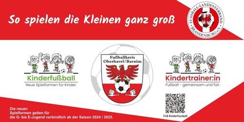 Cover-Grafic SG Mildenberg 23 III, 4gg.4 auf Kleinfeldtore, E-Junioren
