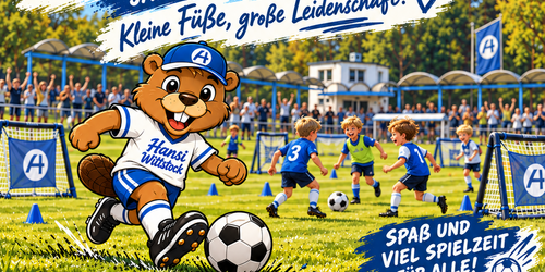 Cover-Grafic FK Hansa Wittstock Festival U8 (Jahrgang 2019)