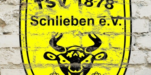 Cover-Grafic TSV 1878 Schlieben e.V. Fussball 2 Festival