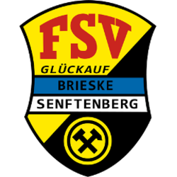 Logo FSV Brieske-Senftenberg
