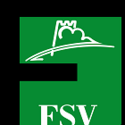 Logo Flechtinger SV